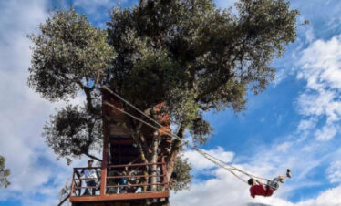 la casa del arbol baños