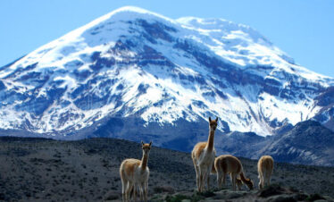 volcán chimborazo day tour